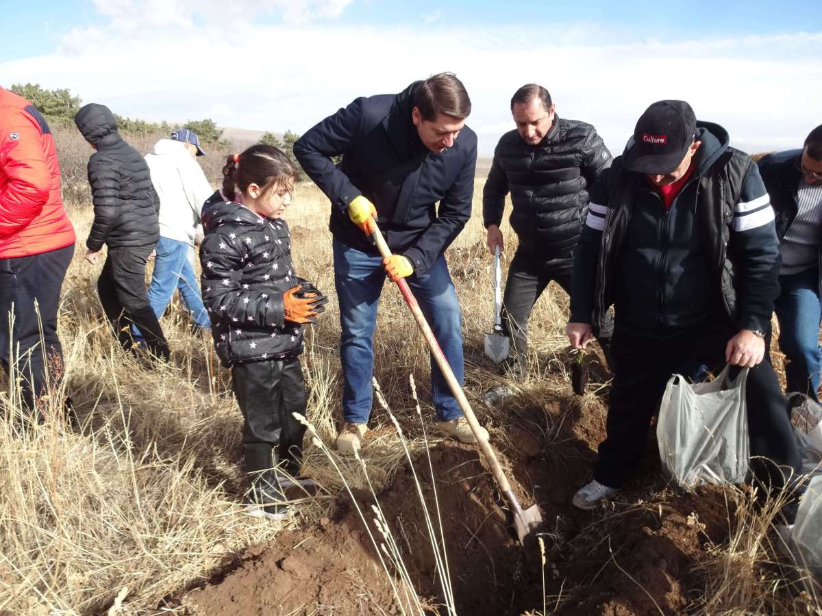 Քաղաքաշինության կոմիտեի աշխատակիցները մասնակցել են աշնանային ծառատունկին